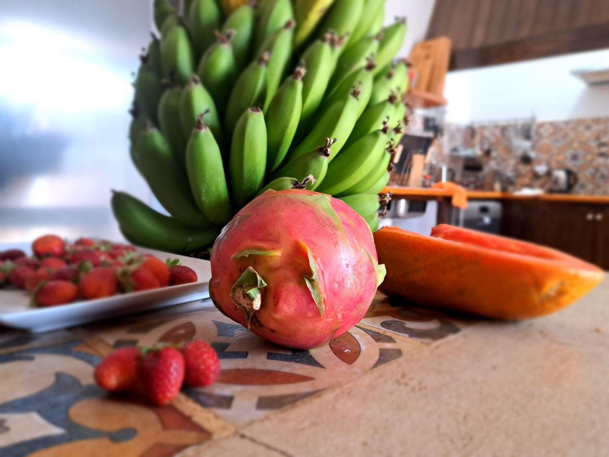 Finca Isolina Hotel Boutique - Adults Recommended Mácher Eksteriør bilde